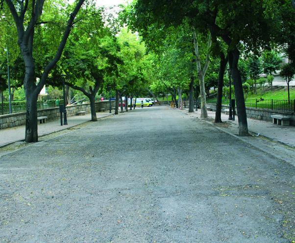 Vial central arbolado del Paseo de las Bicicletas en el Parque de la Concordia.