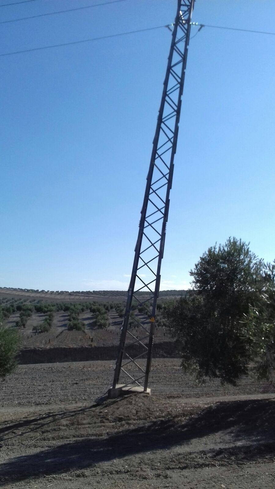 Apoyo metálico de celosía de una línea de media tensión, visiblemente inclinado, en un campo de olivar bajo el cielo azul.